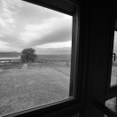 DSC_1220