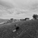 DSC_1315